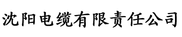 天神乱漫攻略电缆厂logo